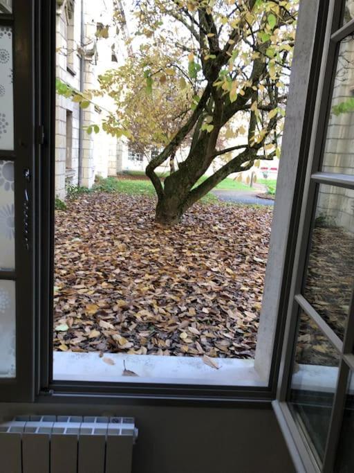Superbe Appartement Saumur Zewnętrze zdjęcie